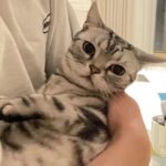 Ahn Hyo-seop Instagram - 오늘도 홍천기 보러 오실거냥