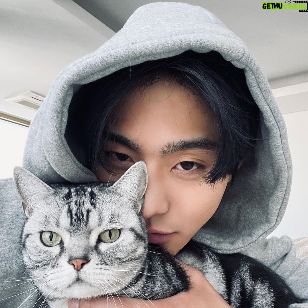 Ahn Hyo-seop - 4 Million Likes - 오늘도 사내맞선 🙂🐱