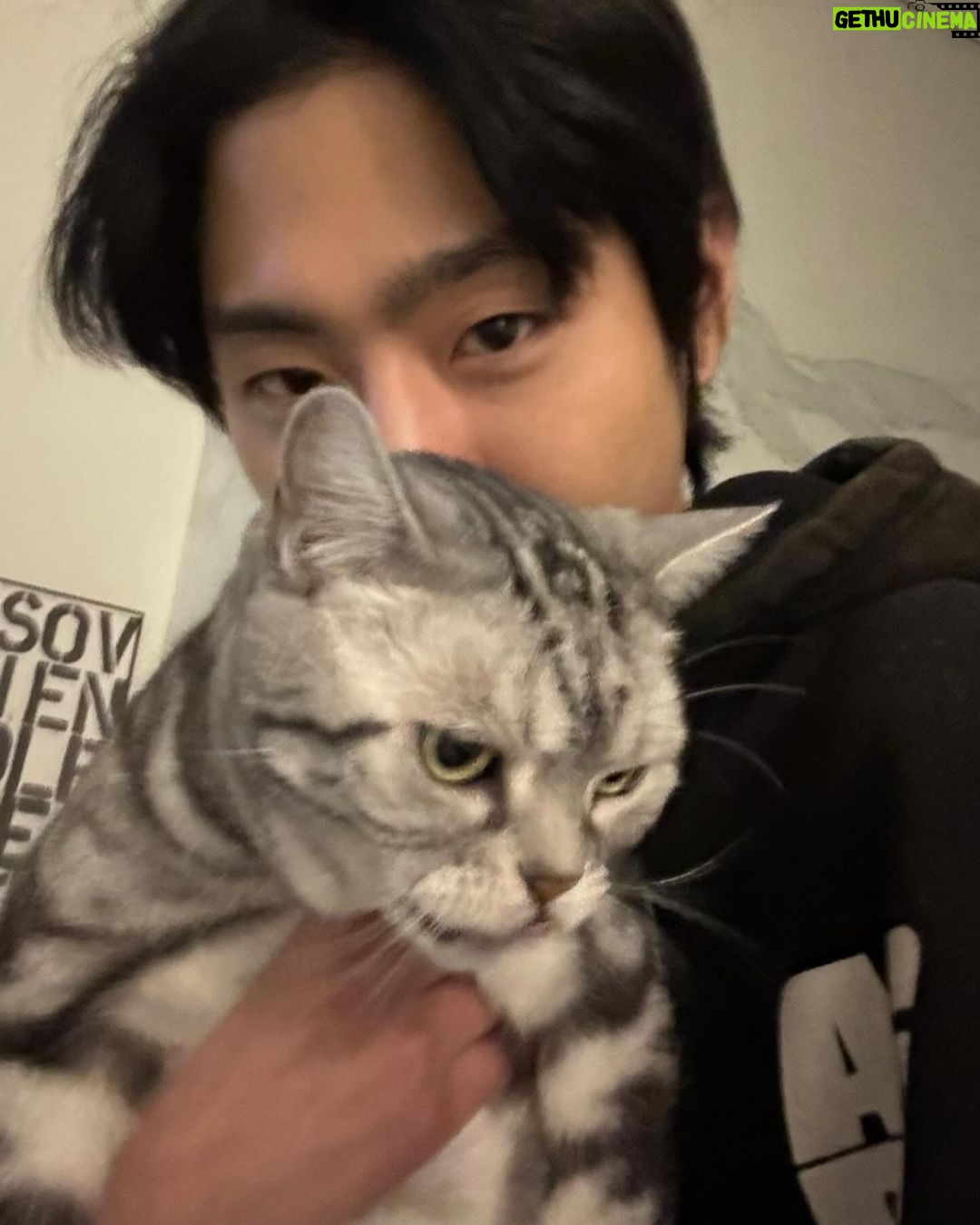 Ahn Hyo-seop - 3.1 Million Likes - 한번만 바울아… merry christmas🧸