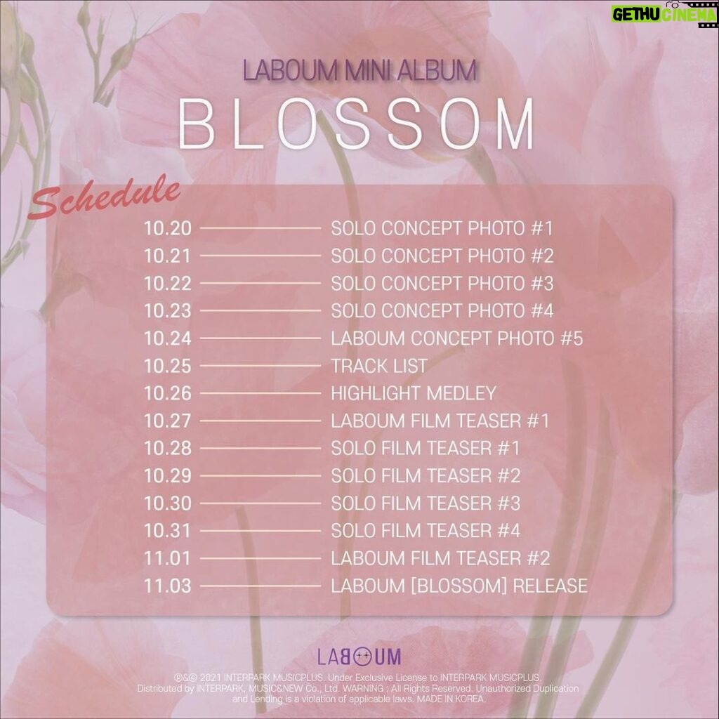 Ahn Sol-bin Instagram - LABOUM 3rd MINI ALBUM 🌷 [BLOSSOM] COMEBACK SCHEDULER 2021.11.3 6PM (KST) #LABOUM #BLOSSOM #211103_6pm #COMEBACK