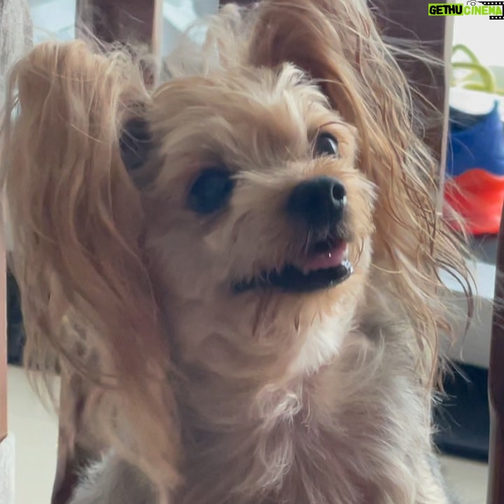 Ahn Sol-bin Instagram - 버디는 어떤 생각을 하고 있을까😮 나는 지금 너를 생각 하고 있어🤍