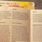 Ahn Sol-bin Instagram -