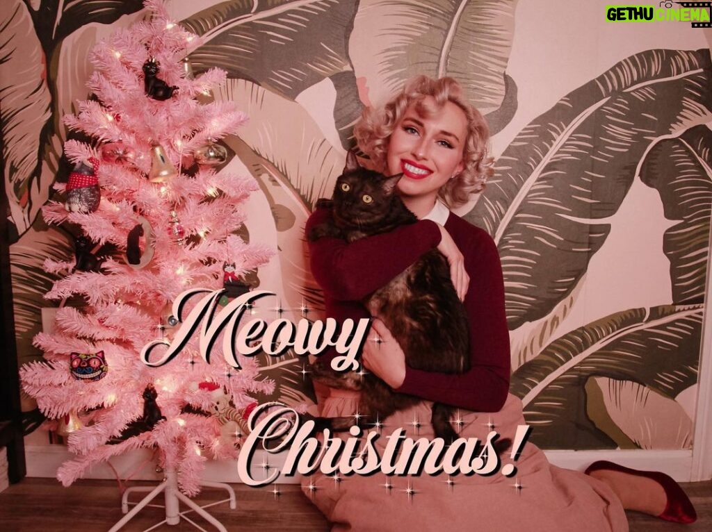 Aimee La Joie Instagram - Meowy Christmas!!! Risked life and limb to get Lydia in some photos with me 🎄 #aimeelajoie #catsofinstagram #vintagechristmas