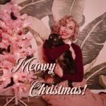 Aimee La Joie Instagram – Meowy Christmas!!! Risked life and limb to get Lydia in some photos with me 🎄 
#aimeelajoie #catsofinstagram #vintagechristmas