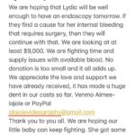 Aimee La Joie Instagram – If you can’t donate, a share would be appreciated. Thank you ❤️ #lydiadeetz