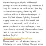 Aimee La Joie Instagram - If you can’t donate, a share would be appreciated. Thank you ❤️ #lydiadeetz