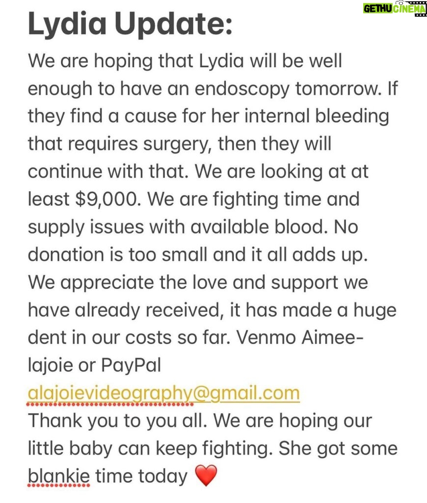 Aimee La Joie Instagram - If you can’t donate, a share would be appreciated. Thank you ❤️ #lydiadeetz