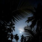 Aisha Sharma Instagram - 25.01.2024 - If I could pause time ✨💫 #incrediblygrateful 🎂 @amanwella_resort @aman #Amanwella #TheSpiritofAman #AmanResort #AmanFoodie Amanwella Resort Beach