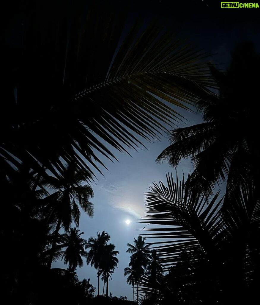 Aisha Sharma Instagram - 25.01.2024 - If I could pause time ✨💫 #incrediblygrateful 🎂 @amanwella_resort @aman #Amanwella #TheSpiritofAman #AmanResort #AmanFoodie Amanwella Resort Beach