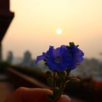 Aisha Sharma Instagram - Weekly Recap
