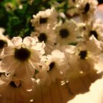 Aisha Sharma Instagram - & it went like ..