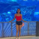 Aishwarya Krishnan Instagram – 🌞

.
.
.
.
.
.
.
.
.
.
.
.
#travel #vacation #traveldiaries #dubai #uniterarabemirates #emirates Dubai Aquarium & Underwater Zoo by Emaar