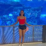 Aishwarya Krishnan Instagram - 🌞 . . . . . . . . . . . . #travel #vacation #traveldiaries #dubai #uniterarabemirates #emirates Dubai Aquarium & Underwater Zoo by Emaar