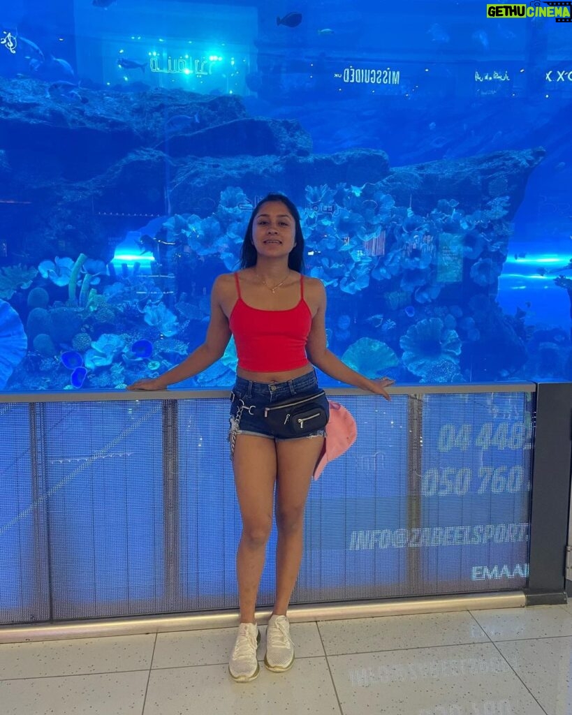 Aishwarya Krishnan Instagram - 🌞 . . . . . . . . . . . . #travel #vacation #traveldiaries #dubai #uniterarabemirates #emirates Dubai Aquarium & Underwater Zoo by Emaar