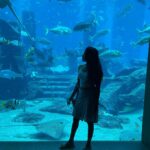 Aishwarya Krishnan Instagram - Dubai Dump #part1 #travel #vacation #family #love #traveldiaries #familyfirst #holidaymode
