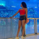 Aishwarya Krishnan Instagram - 🌞 . . . . . . . . . . . . #travel #vacation #traveldiaries #dubai #uniterarabemirates #emirates Dubai Aquarium & Underwater Zoo by Emaar
