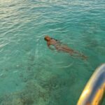 Aishwarya Krishnan Instagram - Maldives Dump 🌊 🌴 ❤️ . . . . . . . . . . . . #maldives #holiday #honeymoon #couplegoals #love #vacation #sea #vitaminsea #ocean #beautiful