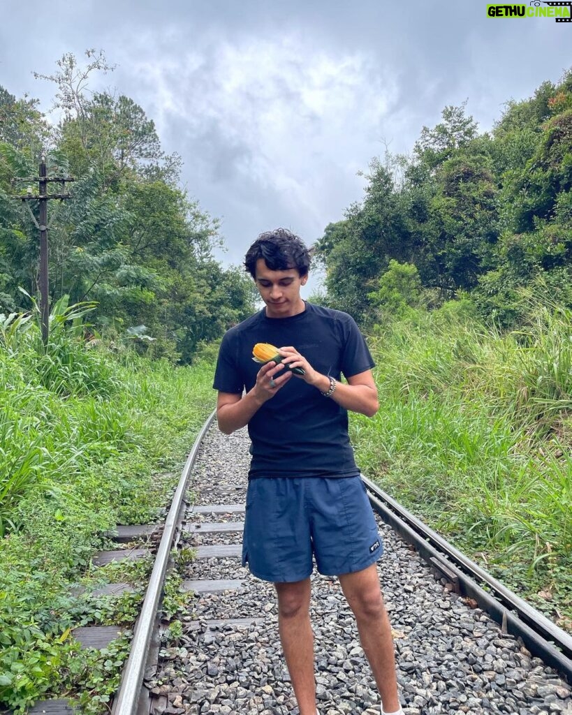 Ajay Friese Instagram - mango’s my fav fruit🥭what’s urs☺️ Sri Lanka