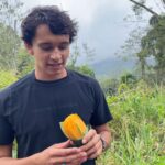 Ajay Friese Instagram - mango’s my fav fruit🥭what’s urs☺️ Sri Lanka