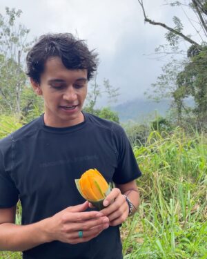 Ajay Friese Instagram - mango’s my fav fruit🥭what’s urs☺️