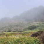 Ajay Friese Instagram – sick boy in the wilds 🤮 #omicron #perseids Big Sur, California