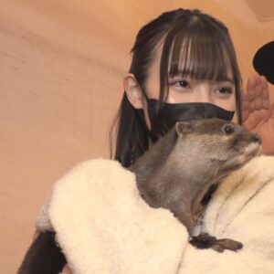 Akari Akase Instagram - 出演情報🌈
あかせあかり初の冠番組、テレビ愛知「#アカリノコマド」が
本日4月12日(水)深夜24時より放送開始します！ 

初の冠番組！しかも地元愛知で✨
山田ルイ53世さんと一緒に楽しい番組にして行ければと思ってます！

テレビ愛知が見られない方も「ろきぽ」にて観られるので是非チェックしてください🌸

#あかせあかり 
#冠番組 
#テレビ愛知
#アカリノコマド