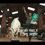 Akshay Kumar Instagram - Being a part of a story that stands for providing the right information and quality feed for cattle is something I feel proud to be associated with. Presenting, Kapila Pashu Aahar, Desh Ka No.1 Pashu Aahar. @kapilacattlefeed #कपिला #KapilaPashuAahar