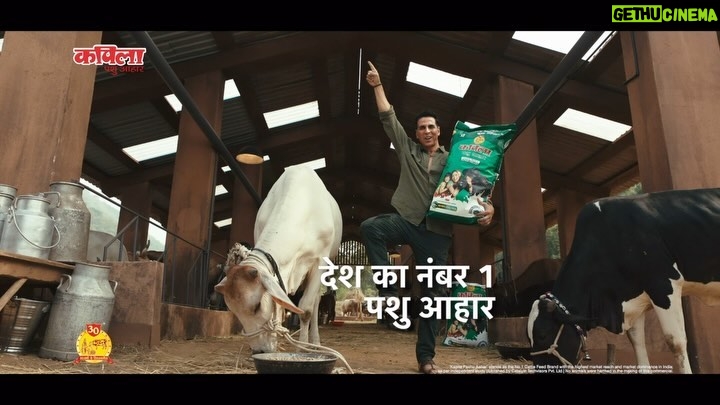 Akshay Kumar Instagram - Being a part of a story that stands for providing the right information and quality feed for cattle is something I feel proud to be associated with. Presenting, Kapila Pashu Aahar, Desh Ka No.1 Pashu Aahar. @kapilacattlefeed #कपिला #KapilaPashuAahar