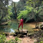 Akshita Bopaiah Instagram - The Earth has music for those who listen … 🌍 #nature #photography #naturephotography #love #travel #photooftheday #instagood #beautiful #picoftheday #photo #instagram #naturelovers #art #landscape #like #follow #travelphotography #bhfyp #happy #sunset #ig #wildlife #summer #life #sky #beauty #mountains #flowers #photographer #instadaily Garden Of Caves