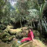 Akshita Bopaiah Instagram - The Earth has music for those who listen … 🌍 #nature #photography #naturephotography #love #travel #photooftheday #instagood #beautiful #picoftheday #photo #instagram #naturelovers #art #landscape #like #follow #travelphotography #bhfyp #happy #sunset #ig #wildlife #summer #life #sky #beauty #mountains #flowers #photographer #instadaily Garden Of Caves
