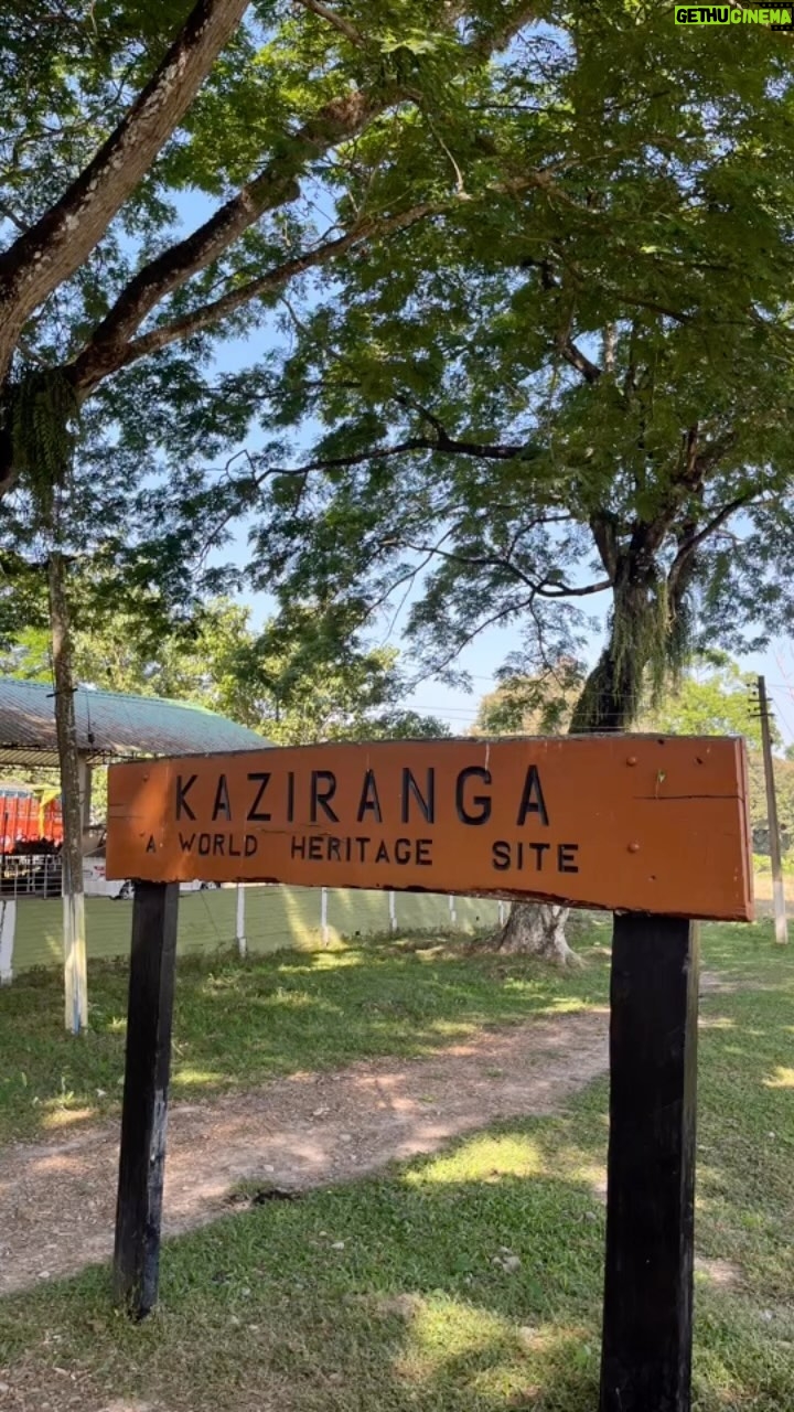 Akshita Bopaiah Instagram - Safari 😍 #assam 🧿❤️🧿 #travelling #travel #travelphotography #travelgram #travelblogger #instatravel #nature #photography #traveling #traveller #traveltheworld #photooftheday #wanderlust #trip #instagood #vacation #traveler #holiday #adventure #love #tourism #explore #traveladdict #picoftheday #naturephotography #instagram #travelingram #landscape #travelblog Assam