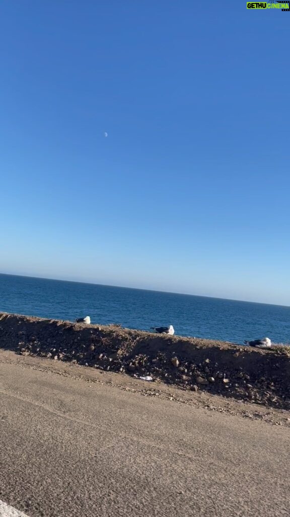 Akull Instagram - It feels good to be lost in the right direction ! 🫶🏻 Your new Long drives jam 🍭 P.s. heading to the hill top while filming i’m flyin in Malibu 🌊 #akull #akullonthebeat #udnelaga #imflyin #nofilter #malibu Malibu, California