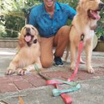Aldri Anunciação Instagram – *Quem aí ama os pet-dogs?
*Hoje trabalhei com Jessy e Udi!
*Muito amáveis nas nossas gravações pro Pedigree Sachê da @pedigreebr.
#pets
#comidaúmida Salvador, Bahia, Brasil – SSA