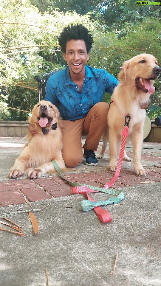 Aldri Anunciação Instagram - *Quem aí ama os pet-dogs? *Hoje trabalhei com Jessy e Udi! *Muito amáveis nas nossas gravações pro Pedigree Sachê da @pedigreebr. #pets #comidaúmida Salvador, Bahia, Brasil - SSA