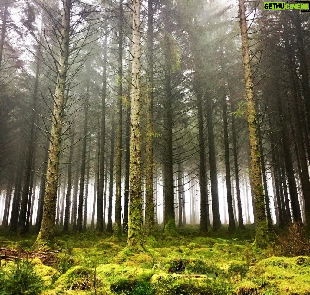 Alec Secăreanu Instagram - Dartmoor National Park