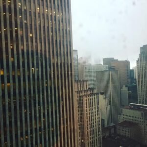 Alec Secăreanu Instagram - Concrete Jungle