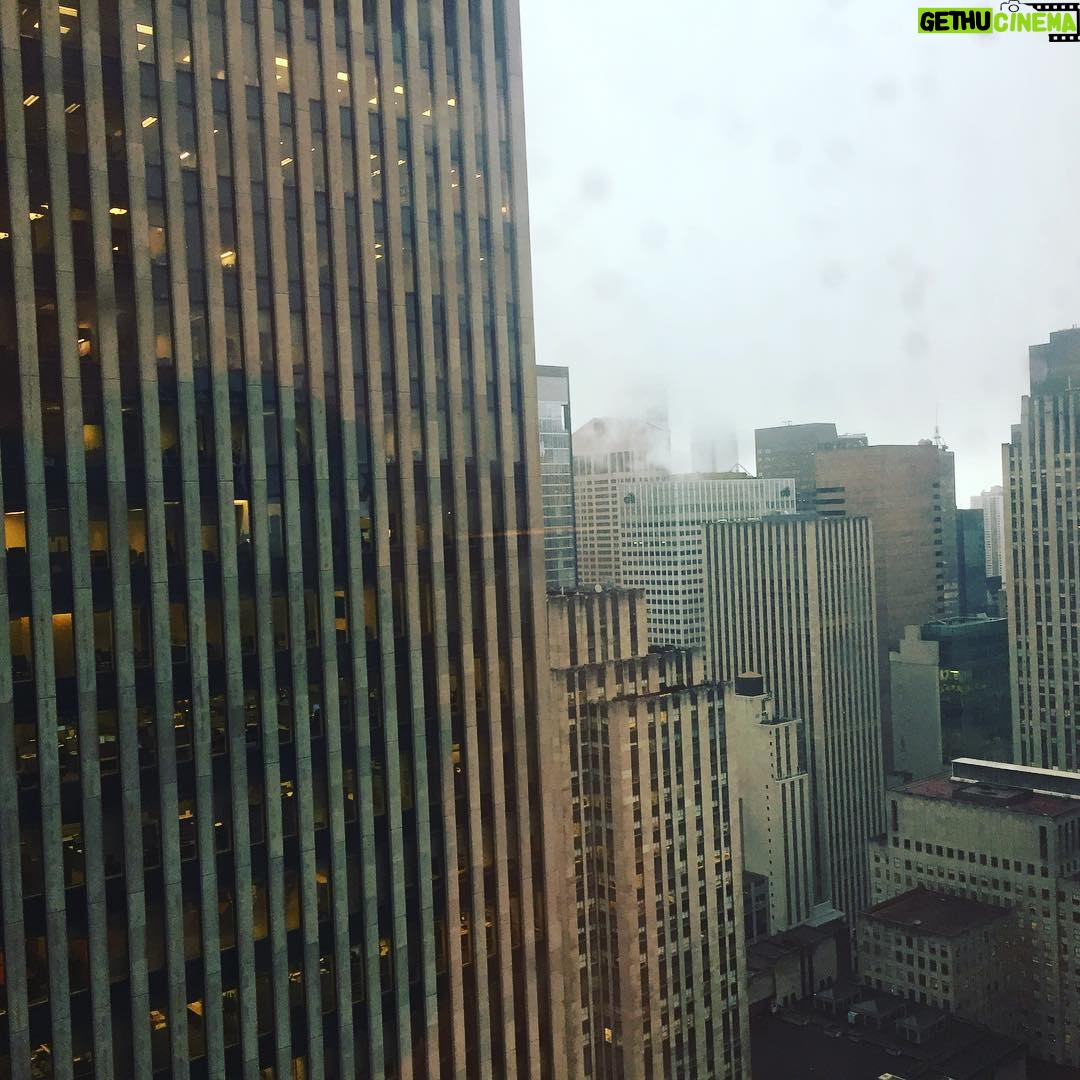Alec Secăreanu - 1.3K Likes - Concrete Jungle