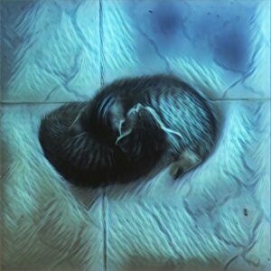 Alec Secăreanu Instagram - Kittens