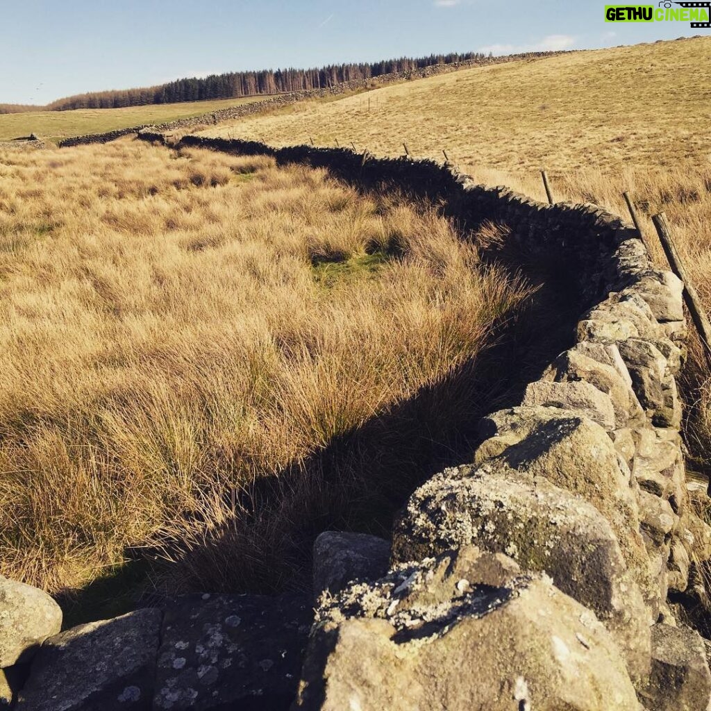Alec Secăreanu Instagram - Dry stone wall. #godsowncountryfilm