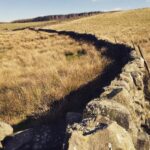 Alec Secăreanu Instagram – Dry stone wall.  #godsowncountryfilm