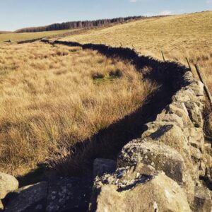 Alec Secăreanu Instagram - Dry stone wall.  #godsowncountryfilm