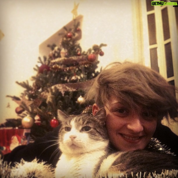 Alec Secăreanu - 654 Likes -