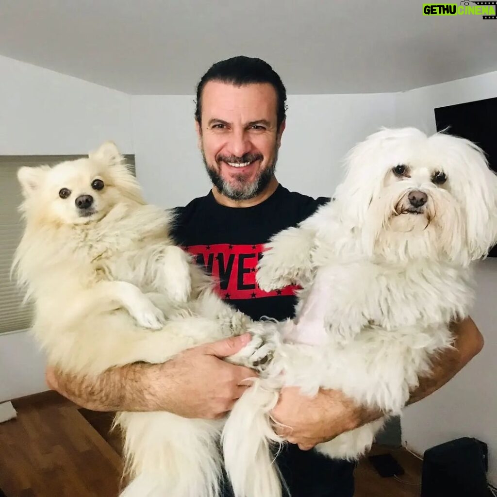 Alejandro Ávila Instagram - Un mundo sin estos seres tan especiales no lo veo! Que opinas? #dogs #perrhijos #happy #coco🐺 tomas🐶