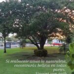 Alejandro Ávila Instagram -