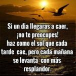 Alejandro Ávila Instagram - Blessings. Bendiciones 🙏🏻
