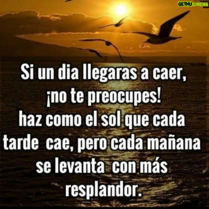 Alejandro Ávila Instagram - Blessings. Bendiciones 🙏🏻