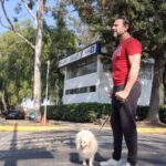 Alejandro Ávila Instagram - Todas las batallas en la vida sirven para enseñarnos algo..... inclusive aquellas que perdemos. #actor #nature #dog #pomeranian