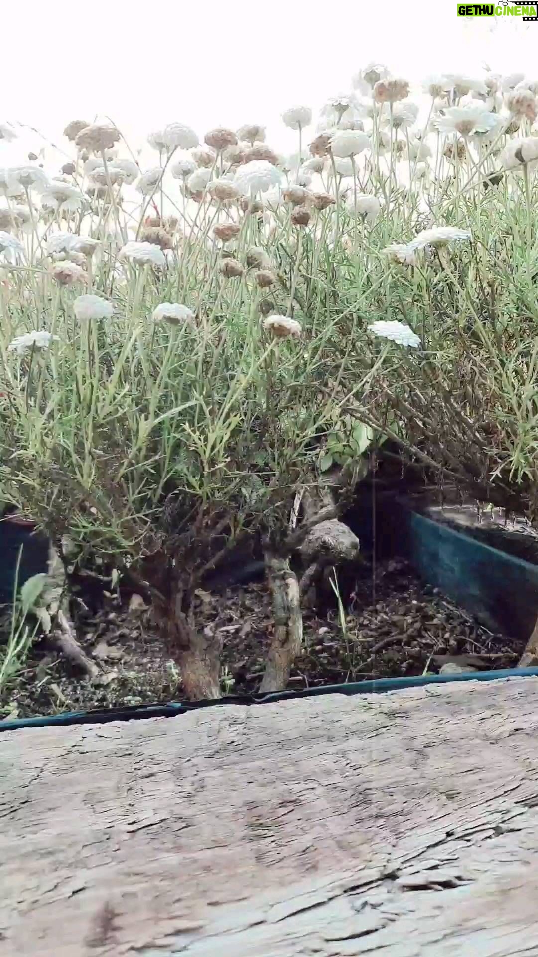 Alejandro Ávila Instagram - Un pedacito de alegría visual, SONRÍE!