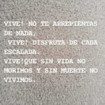 Alejandro Ávila Instagram - VIVE!