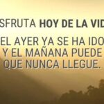 Alejandro Ávila Instagram - VIVE!